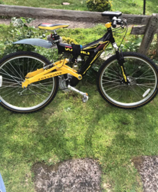 silver fox bike price